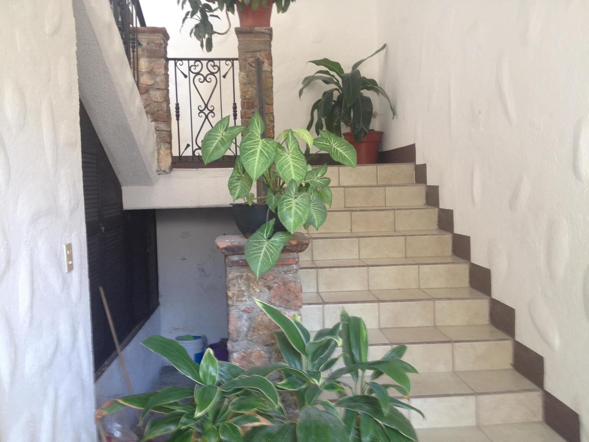 פוארטו אסקונדידו Hotel Casa Vieja מראה חיצוני תמונה